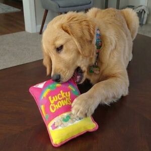 Fun Food Lucky Chows Squeaky Plush Dog Toy